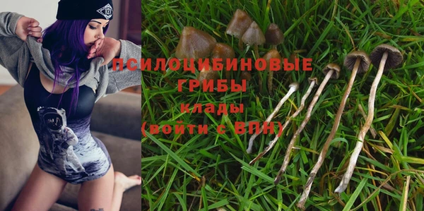экстази Дмитров
