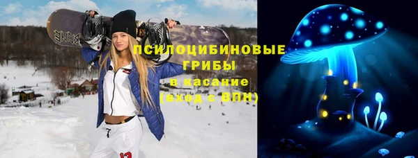 дживик Дмитровск