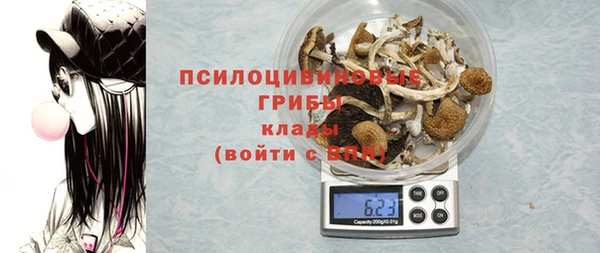 экстази Дмитров